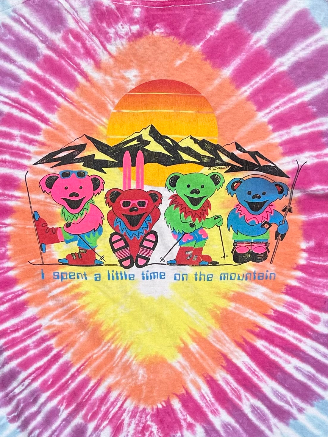 Vintage Colorado state flag Grateful Dead XL shirt