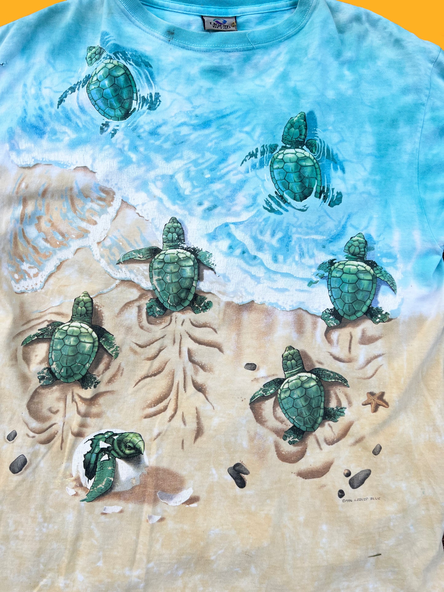 LIQUID BLUE TERRAPIN TURTLES TIDYE- Patchouli Studio