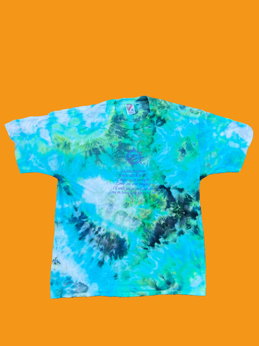 Vintage Sunshine Daydream (Grateful Dead song) Tie Dye short sleeved shirt